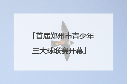 首届郑州市青少年三大球联赛开幕