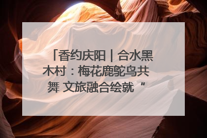 香约庆阳｜合水黑木村：梅花鹿鸵鸟共舞 文旅融合绘就“诗与远方”