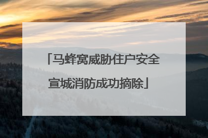 马蜂窝威胁住户安全 宣城消防成功摘除