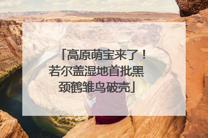 高原萌宝来了！若尔盖湿地首批黑颈鹤雏鸟破壳
