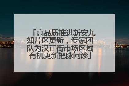 高品质推进新安九如片区更新，专家团队为汉正街市场区域有机更新把脉问诊