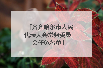 齐齐哈尔市人民代表大会常务委员会任免名单