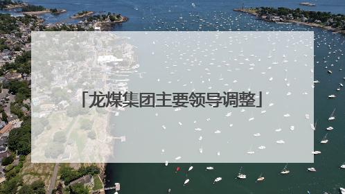 龙煤集团主要领导调整