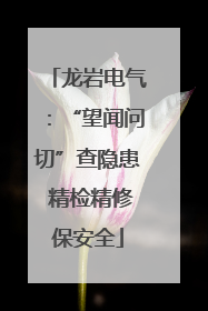龙岩电气：“望闻问切”查隐患 精检精修保安全