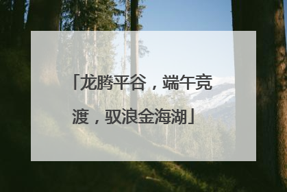 龙腾平谷，端午竞渡，驭浪金海湖