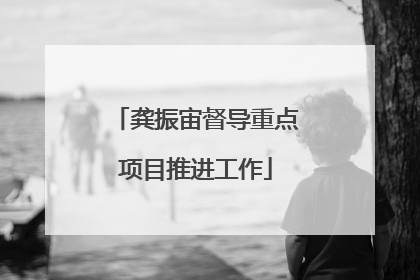 龚振宙督导重点项目推进工作