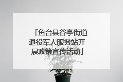 鱼台县谷亭街道退役军人服务站开展政策宣传活动