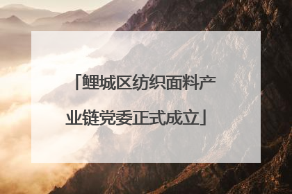 鲤城区纺织面料产业链党委正式成立