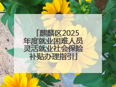 麒麟区2025年度就业困难人员灵活就业社会保险补贴办理指引