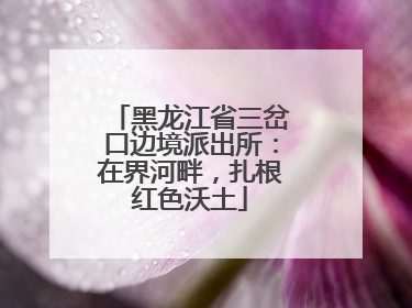 黑龙江省三岔口边境派出所：在界河畔，扎根红色沃土