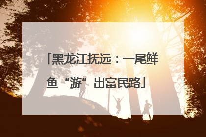 黑龙江抚远：一尾鲜鱼“游”出富民路