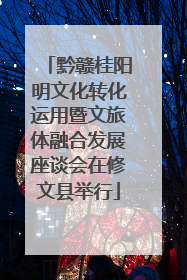 黔赣桂阳明文化转化运用暨文旅体融合发展座谈会在修文县举行