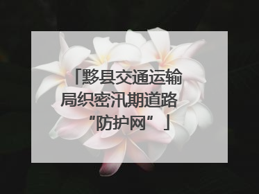 黟县交通运输局织密汛期道路“防护网”