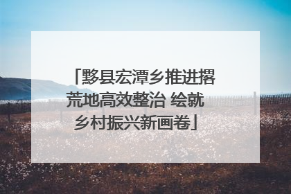 黟县宏潭乡推进撂荒地高效整治 绘就乡村振兴新画卷