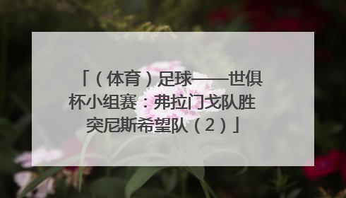 （体育）足球——世俱杯小组赛：弗拉门戈队胜突尼斯希望队（2）
