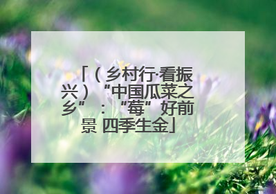 （乡村行·看振兴）“中国瓜菜之乡”：“莓”好前景 四季生金