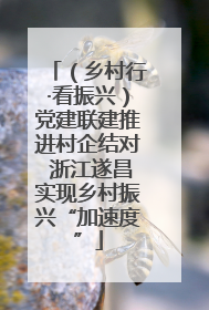 （乡村行·看振兴）党建联建推进村企结对 浙江遂昌实现乡村振兴“加速度”