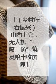 （乡村行·看振兴）山西上党：无人机“一喷三防”筑夏粮丰收屏障