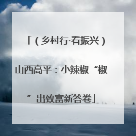 （乡村行·看振兴）山西高平：小辣椒“椒”出致富新答卷