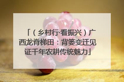 （乡村行·看振兴）广西龙脊梯田：背篓变迁见证千年农耕传统魅力