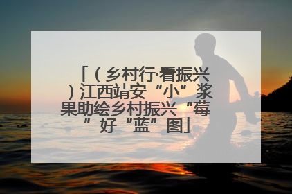 （乡村行·看振兴）江西靖安“小”浆果助绘乡村振兴“莓”好“蓝”图
