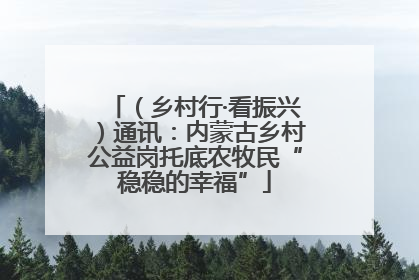 （乡村行·看振兴）通讯：内蒙古乡村公益岗托底农牧民“稳稳的幸福”