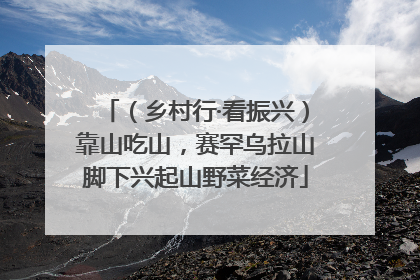 （乡村行·看振兴）靠山吃山，赛罕乌拉山脚下兴起山野菜经济