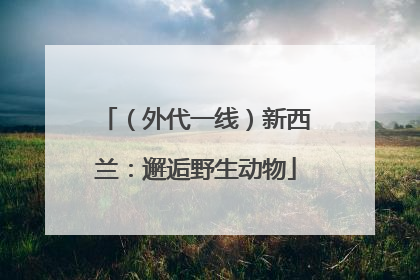 （外代一线）新西兰：邂逅野生动物