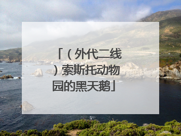（外代二线）索斯托动物园的黑天鹅