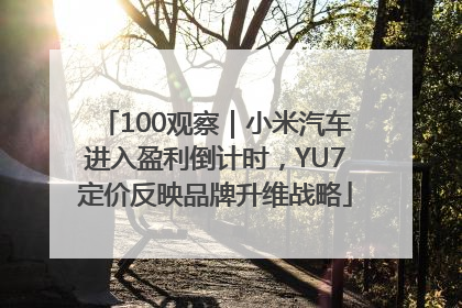 100观察｜小米汽车进入盈利倒计时，YU7定价反映品牌升维战略