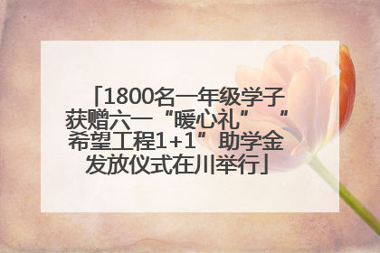 1800名一年级学子获赠六一“暖心礼” “希望工程1+1”助学金发放仪式在川举行