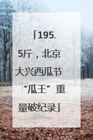195.5斤，北京大兴西瓜节“瓜王”重量破纪录