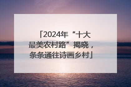2024年“十大最美农村路”揭晓，条条通往诗画乡村