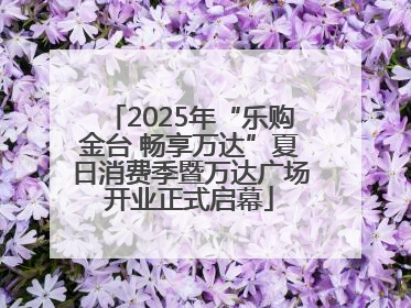2025年“乐购金台 畅享万达”夏日消费季暨万达广场开业正式启幕
