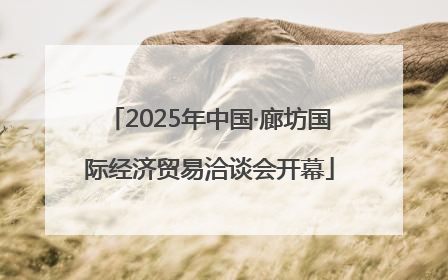 2025年中国·廊坊国际经济贸易洽谈会开幕