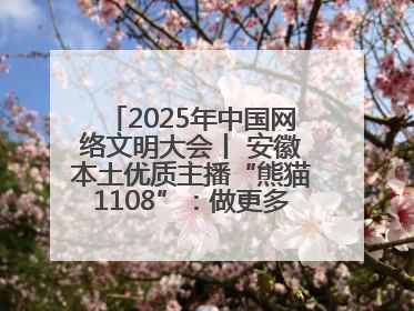 2025年中国网络文明大会丨 安徽本土优质主播“熊猫1108”：做更多正能量的事情 带给大家快乐