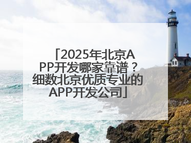 2025年北京APP开发哪家靠谱？细数北京优质专业的APP开发公司
