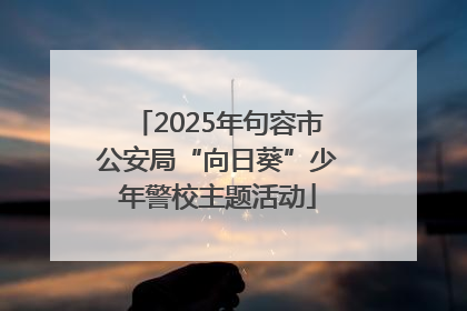 2025年句容市公安局“向日葵”少年警校主题活动