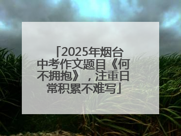 2025年烟台中考作文题目《何不拥抱》，注重日常积累不难写