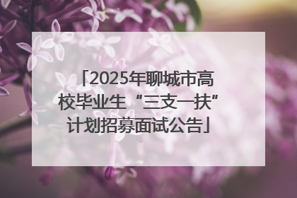 2025年聊城市高校毕业生“三支一扶”计划招募面试公告