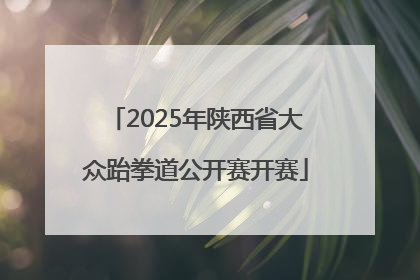 2025年陕西省大众跆拳道公开赛开赛