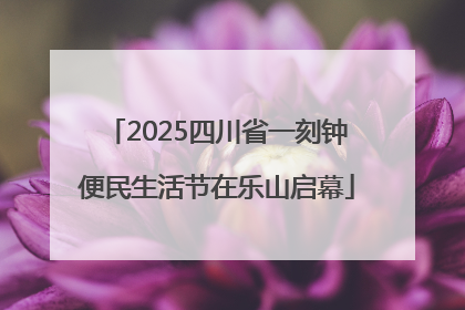 2025四川省一刻钟便民生活节在乐山启幕