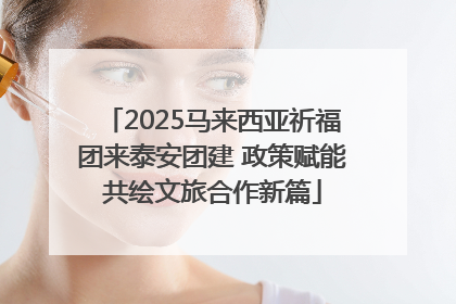 2025马来西亚祈福团来泰安团建 政策赋能共绘文旅合作新篇