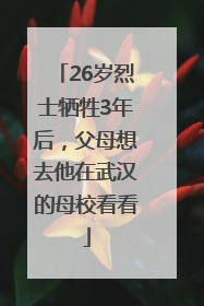 26岁烈士牺牲3年后，父母想去他在武汉的母校看看