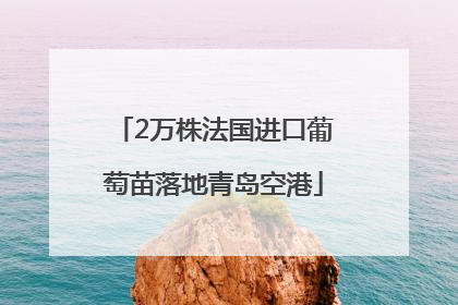 2万株法国进口葡萄苗落地青岛空港