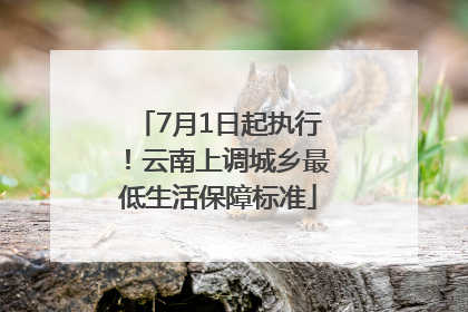 7月1日起执行！云南上调城乡最低生活保障标准