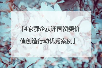 4家鄂企获评国资委价值创造行动优秀案例
