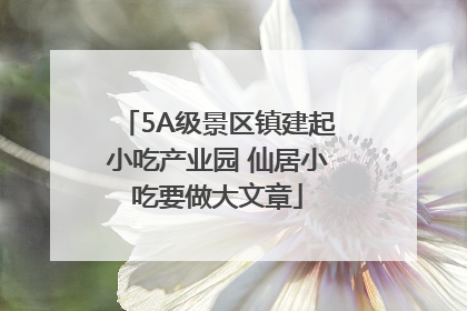 5A级景区镇建起小吃产业园 仙居小吃要做大文章