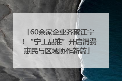 60余家企业齐聚江宁！“宁工品推”开启消费惠民与区域协作新篇