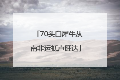 70头白犀牛从南非运抵卢旺达